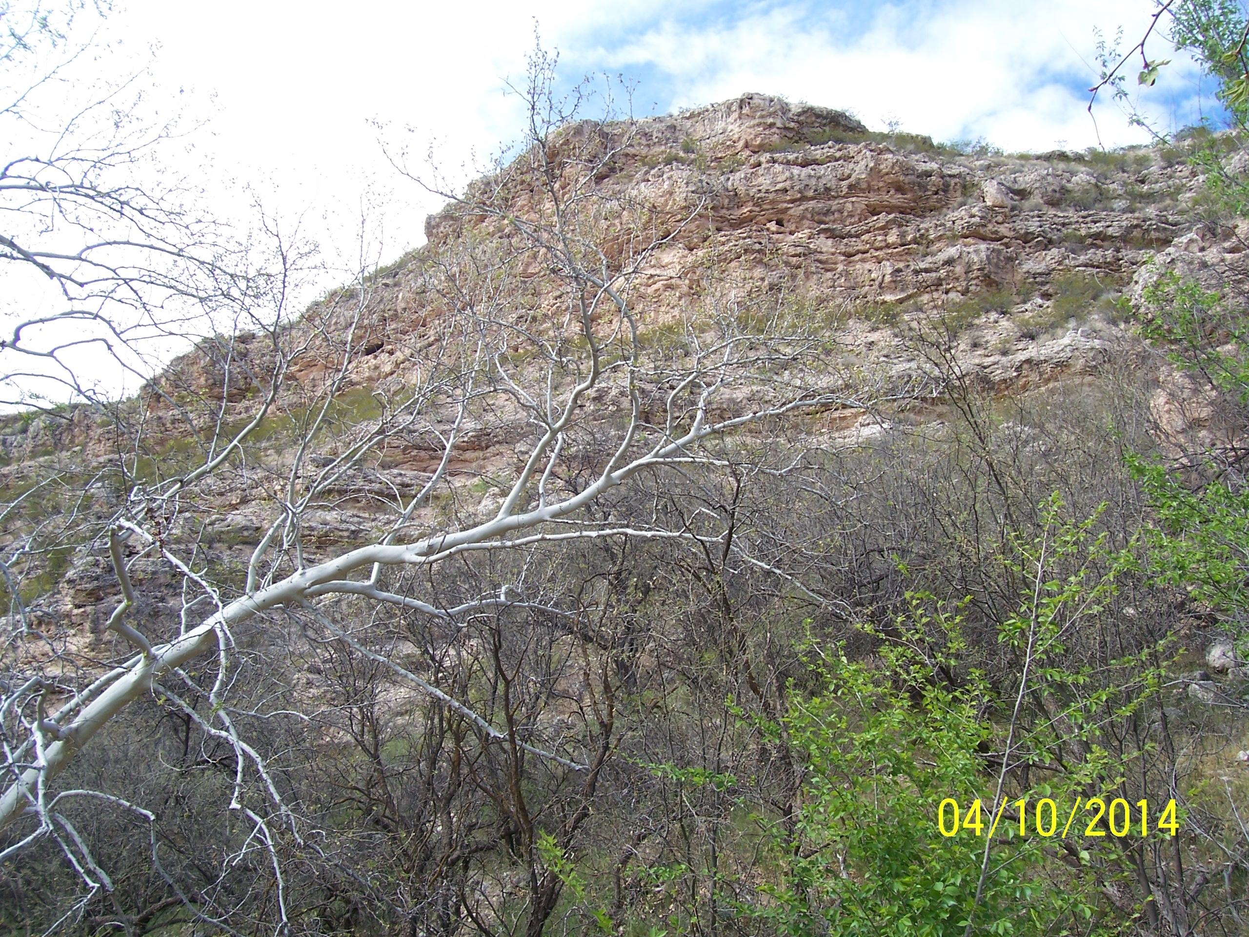 3820 Brocket Ranch Road Rimrock, AZ 86335 - Photo 10 of 41 100_3995 - Copy