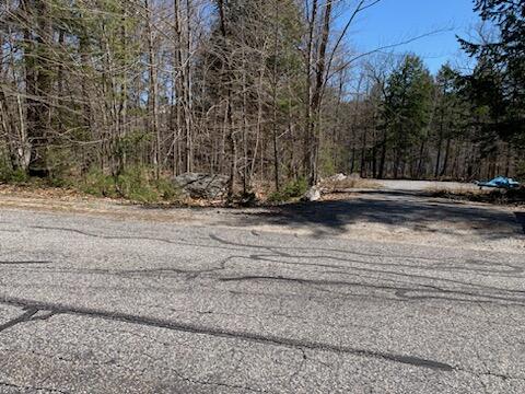 Lot # Whippoorwill Road Naples, ME 04055 - Photo 7 of 7 View across the street