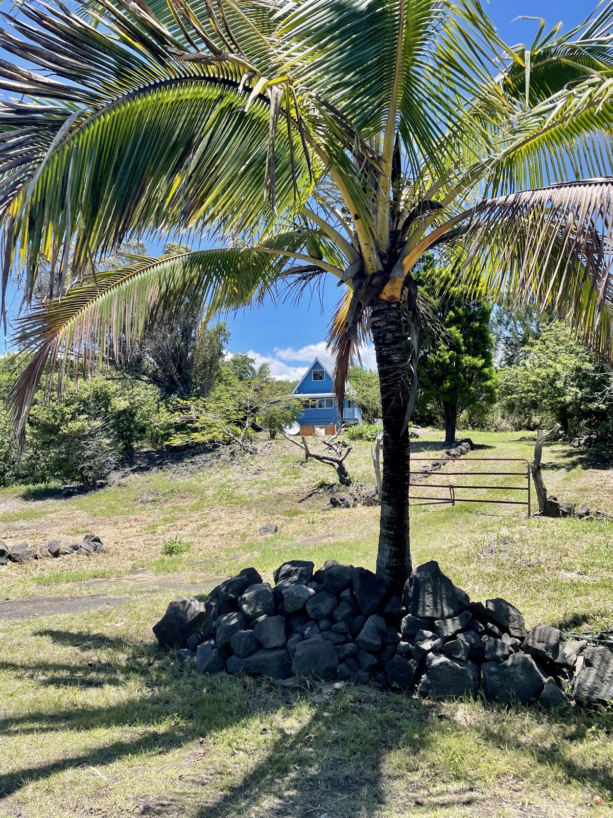 17 Holowai Road Naalehu, HI 96772 - Photo 2 of 2 a view of a lake with a palm tree