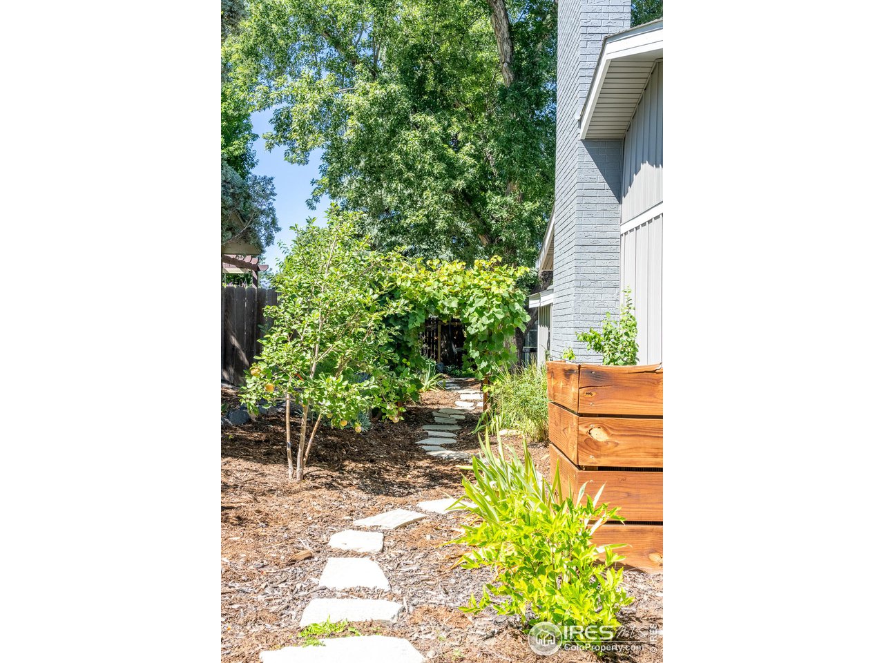 7357 Glacier View Road Longmont, CO 80503 - Photo 35 of 39 a view of a yard with potted plants
