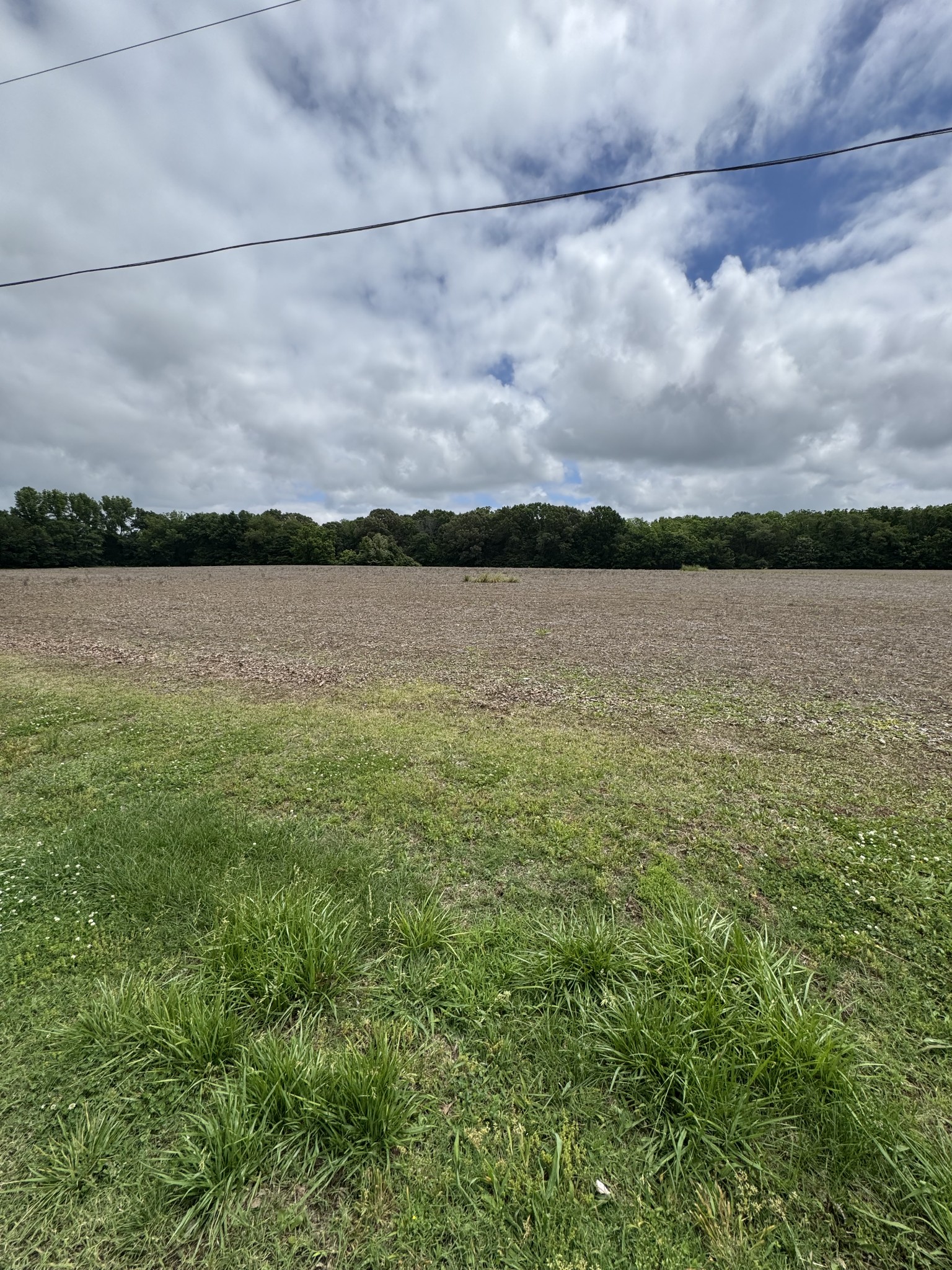 325 Harts Mill Road Atwood, TN 38220 - Photo 22 of 44