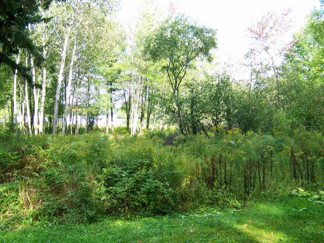 2720 Apple Lane Rhinelander, WI 54501 - Photo 10 of 11 Gallery Image 10