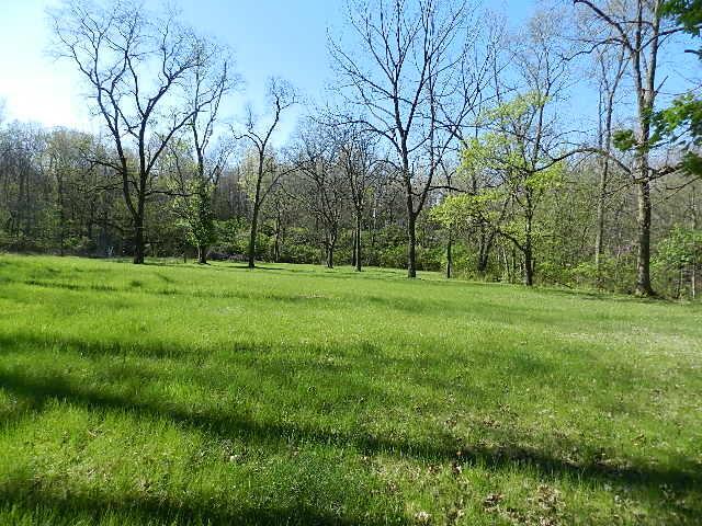 2647 Ferris Road Columbus, OH 43224 - Photo 5 of 30 Back yard