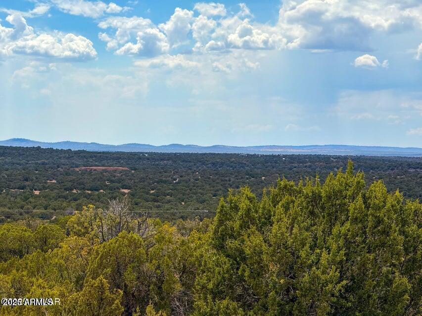 0 Weber Road Show Low, AZ 85901 - Photo 1 of 21 20250901071225202913000000-o
