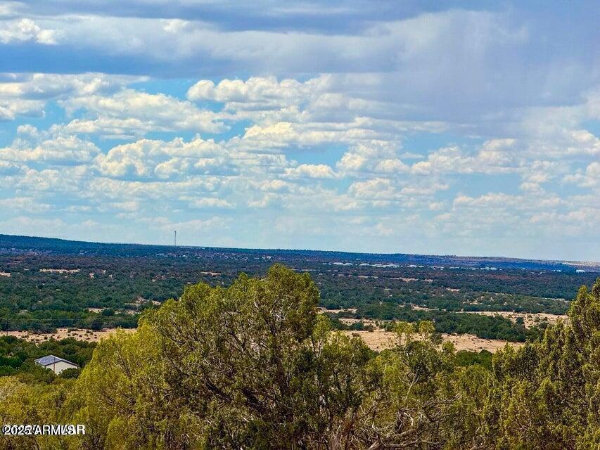 0 Weber Road Show Low, AZ 85901 - Photo 13 of 21 20250901071419806764000000-o