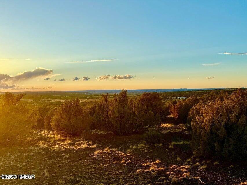 0 Weber Road Show Low, AZ 85901 - Photo 6 of 21 20250926072059971417000000-o