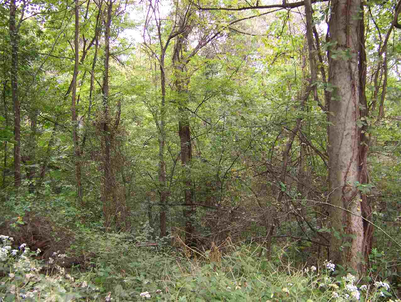 0 Ranes Mount Mount Vernon, IN 47620 - Photo 1 of 16 Gallery Image 1