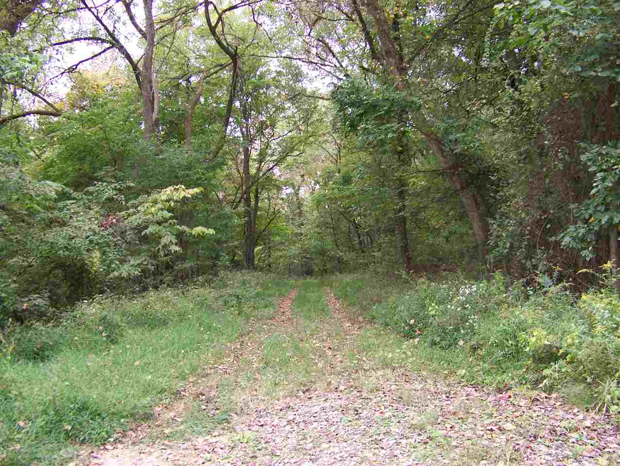 0 Ranes Mount Mount Vernon, IN 47620 - Photo 6 of 16 Gallery Image 6