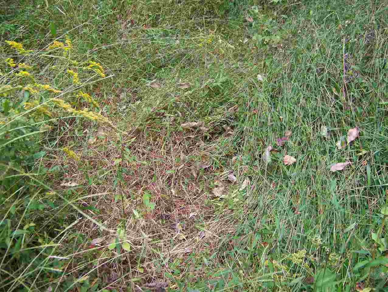 0 Ranes Mount Mount Vernon, IN 47620 - Photo 7 of 16 Gallery Image 7