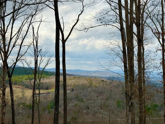 0 Winding Ridge Blairsville, GA 30512 - Photo 5 of 30 Gallery Image 5