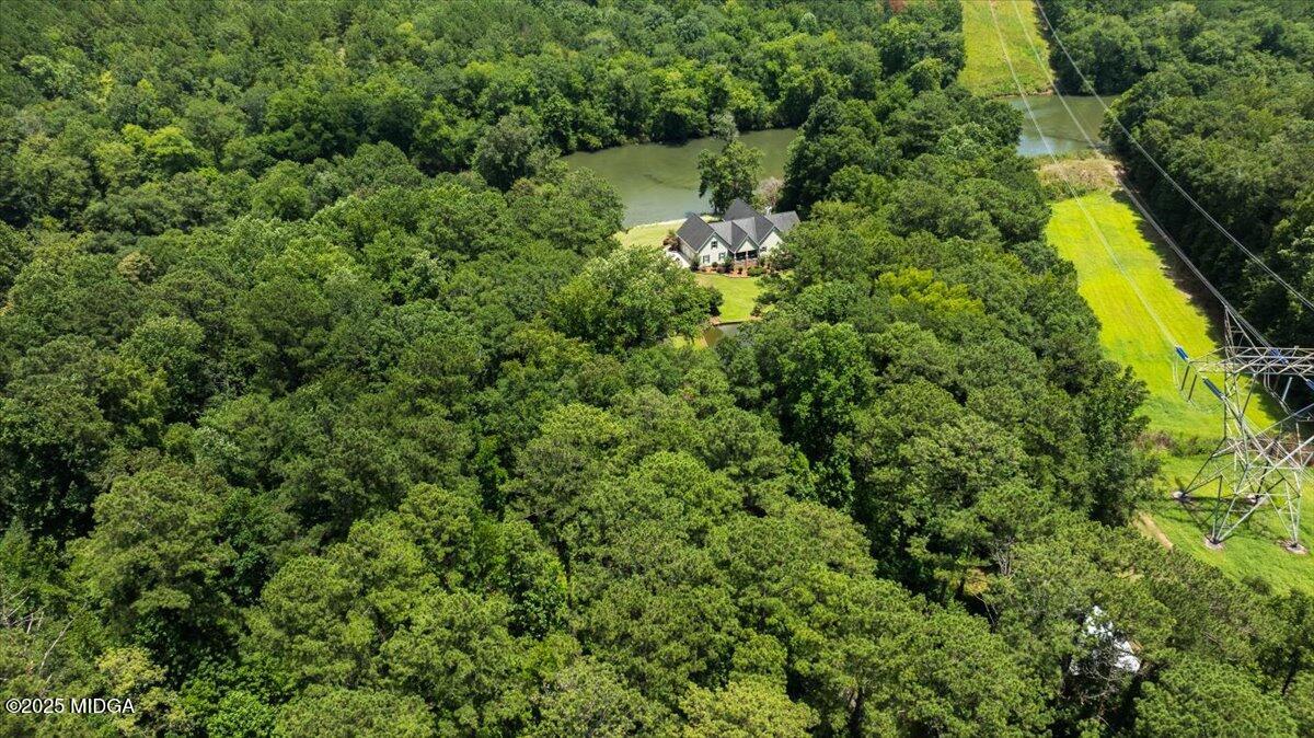 625 Rum Creek Road Juliette, GA 31046 - Photo 77 of 81 48-DJI_0780