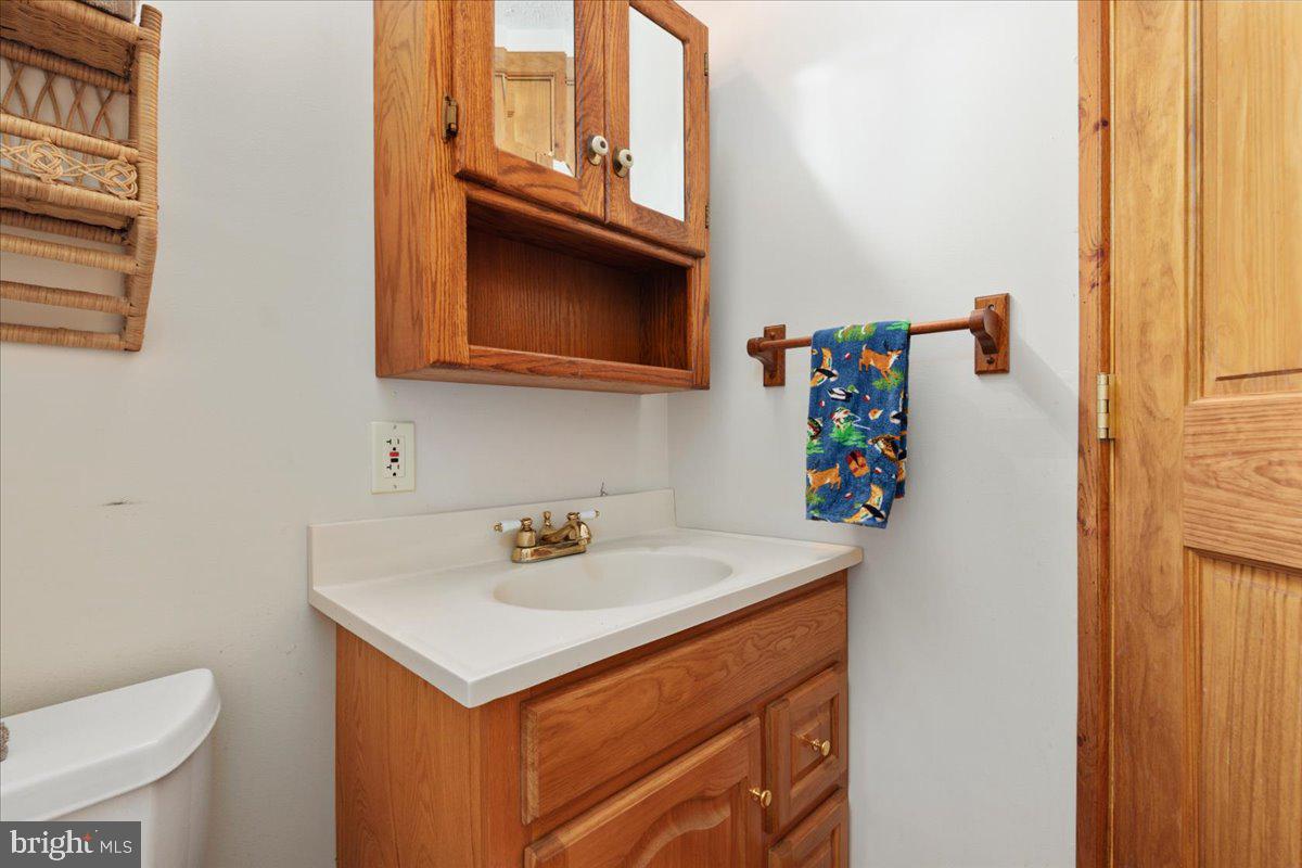 165 Buck Run Delray, WV 26714 - Photo 11 of 23 a bathroom with a sink and a toilet