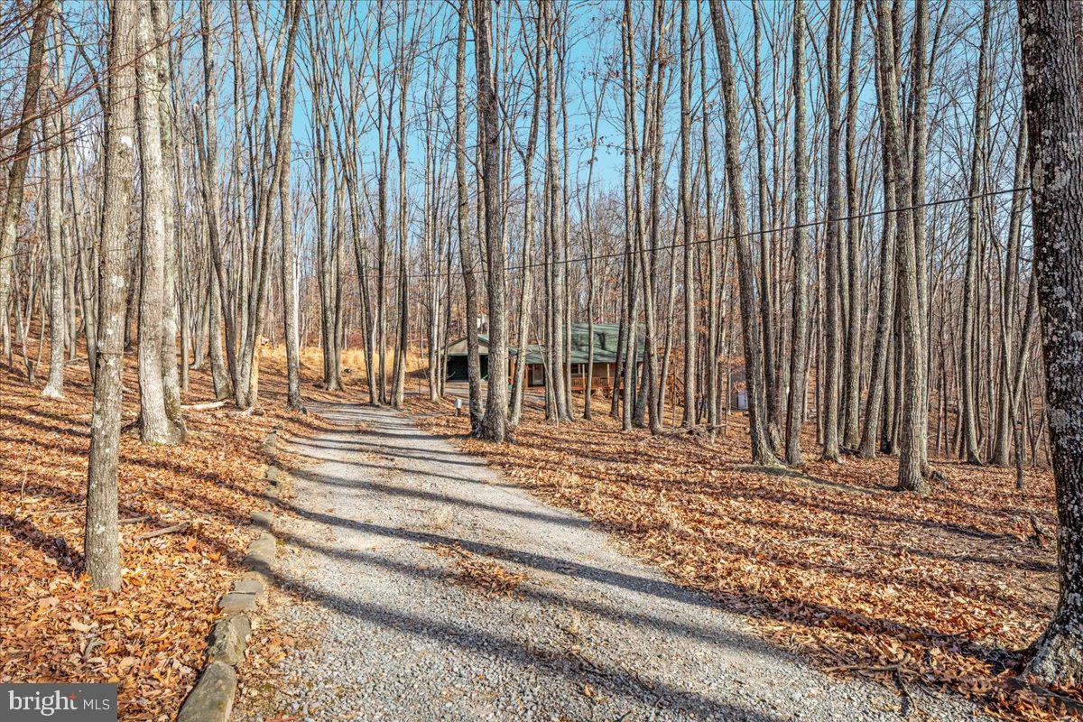165 Buck Run Delray, WV 26714 - Photo 22 of 23 a view of a entryway door of a house with a yard