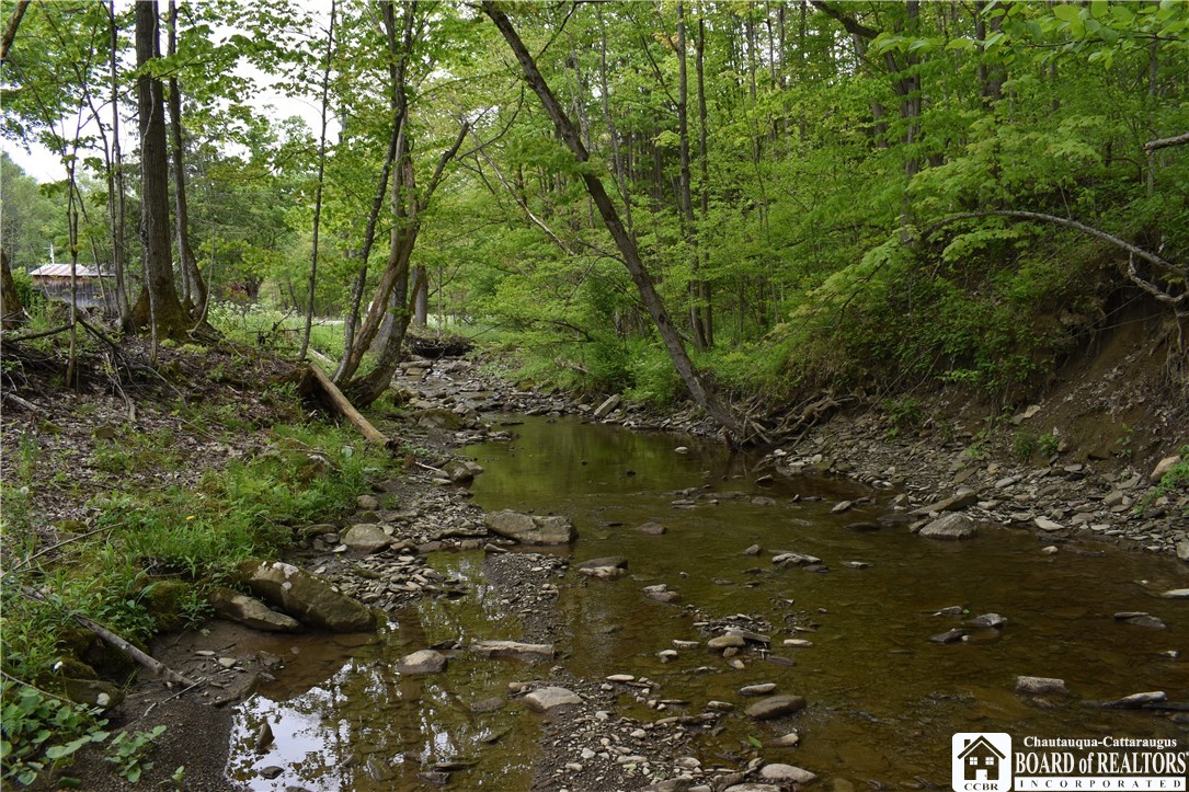0 Harris Hollow Road Gerry, NY 14740 - Photo 3 of 23