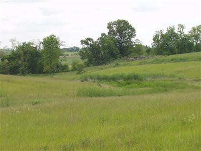2503 Jackstown Road Paris, KY 40361 - Photo 13 of 14 Photo 13