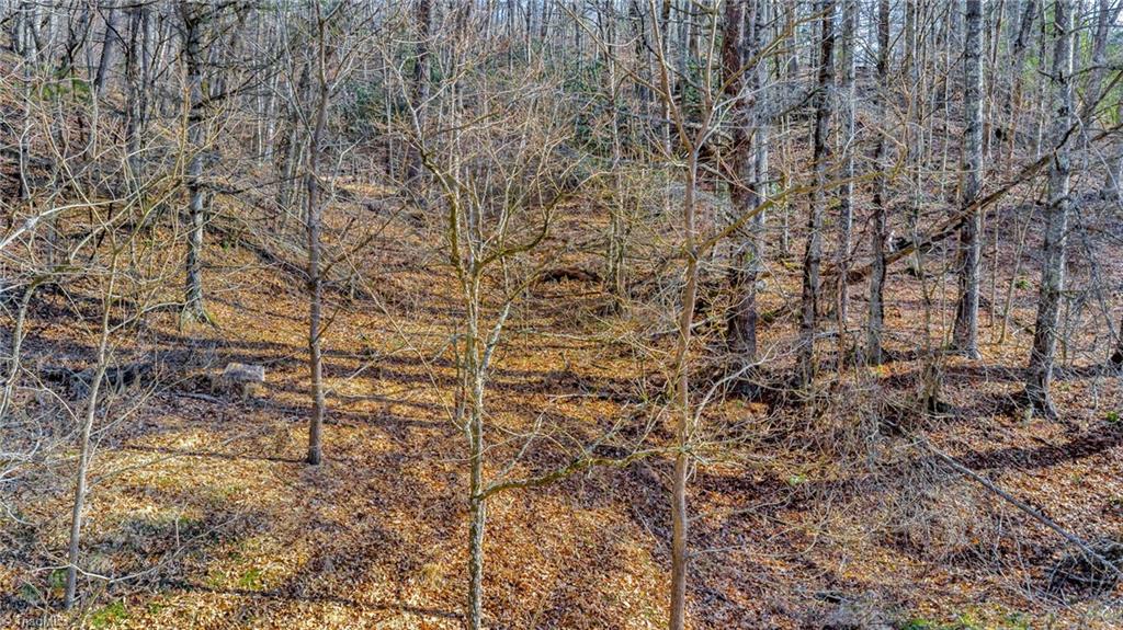 228 Don Adams Road Lansing, NC 28643 - Photo 13 of 17