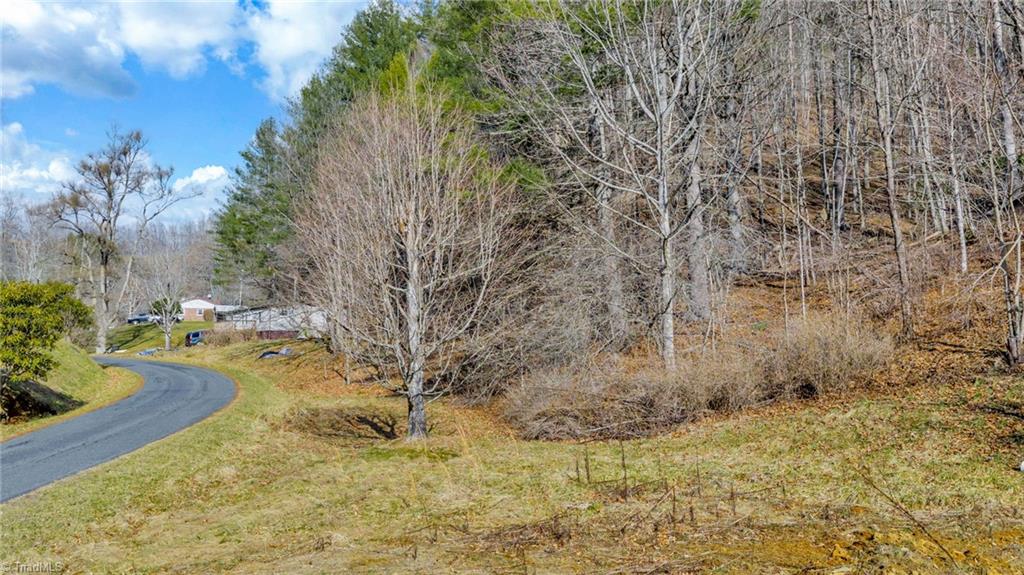 228 Don Adams Road Lansing, NC 28643 - Photo 16 of 17