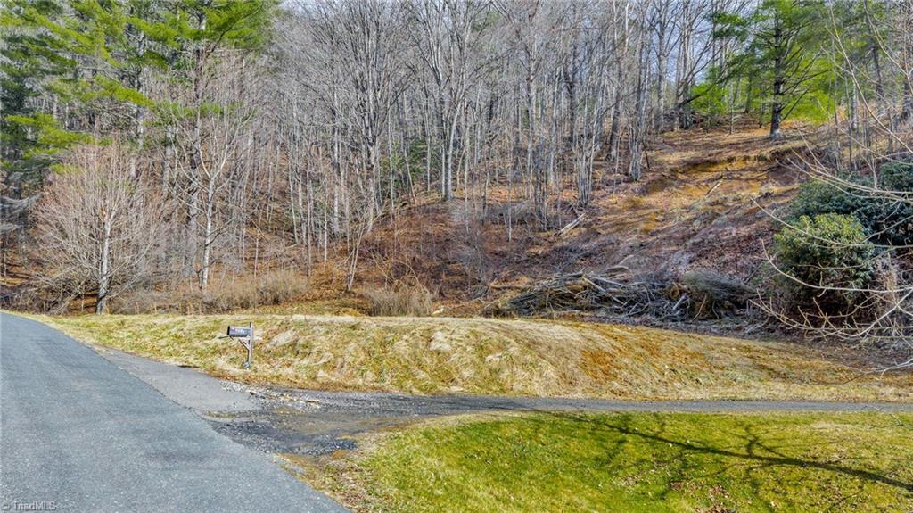 228 Don Adams Road Lansing, NC 28643 - Photo 2 of 17