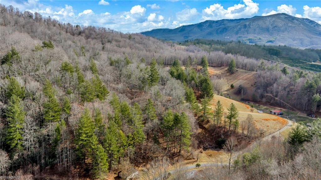 228 Don Adams Road Lansing, NC 28643 - Photo 6 of 17