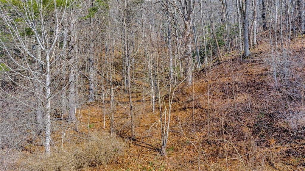 228 Don Adams Road Lansing, NC 28643 - Photo 8 of 17