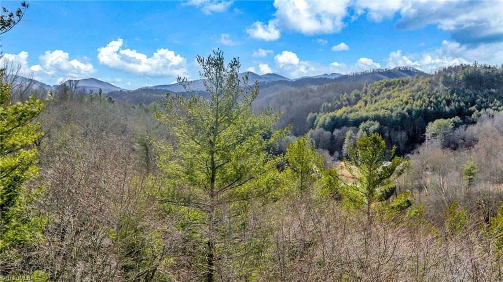 228 Don Adams Road Lansing, NC 28643 - Photo 10 of 17