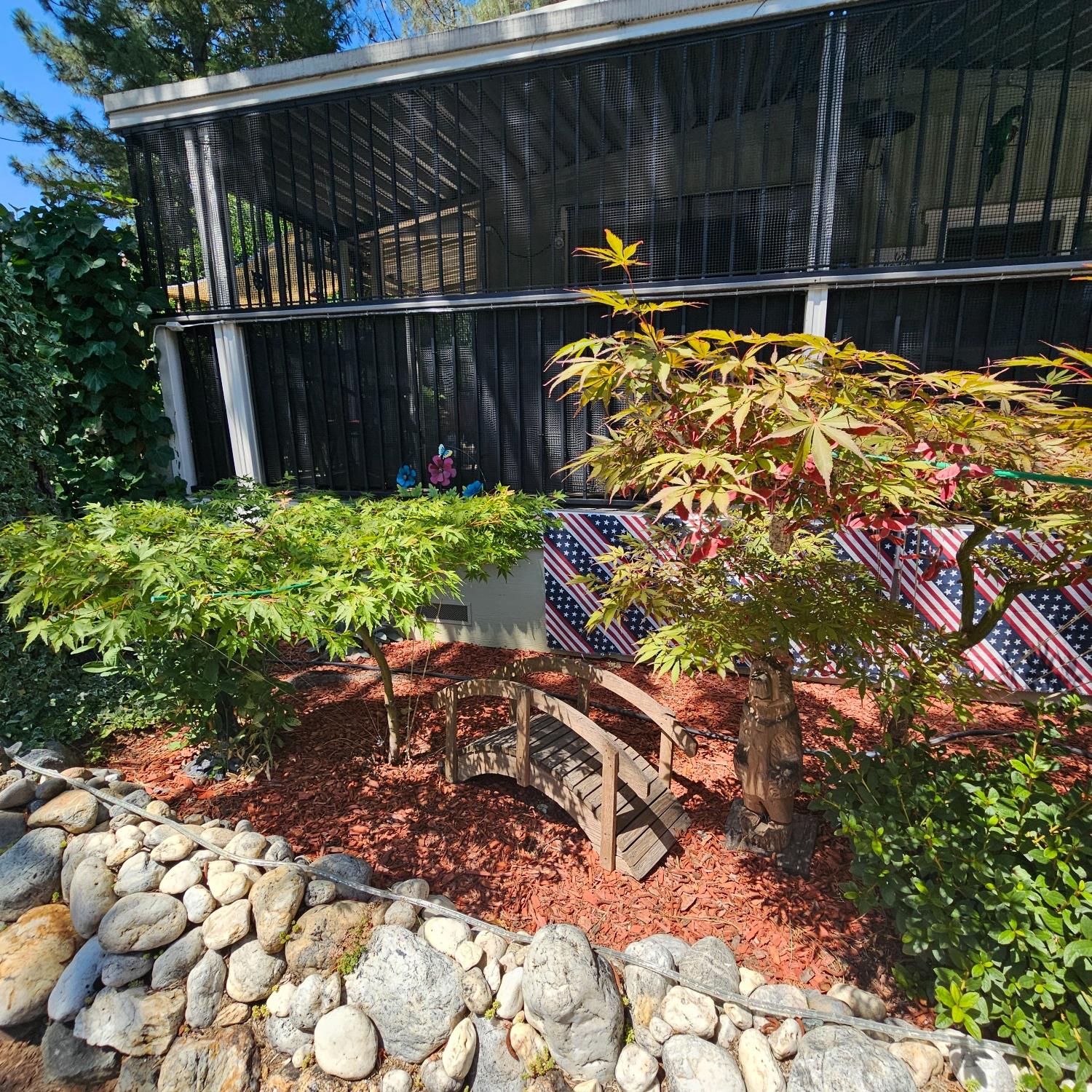 a view of outdoor space and garden