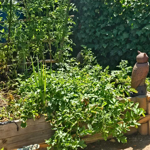 a view of swimming pool with a patio