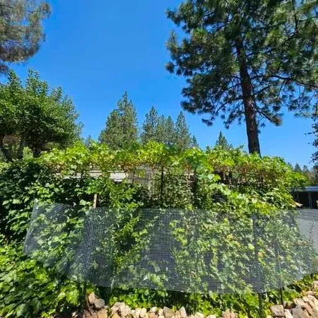 $150,000 | 450 Gladycon Road, Unit 32, Colfax, CA 95713