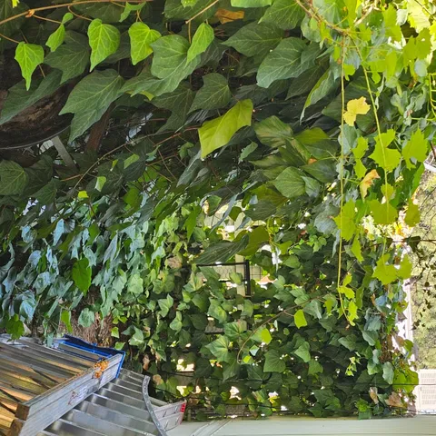 a view of a balcony with furniture and wooden floor