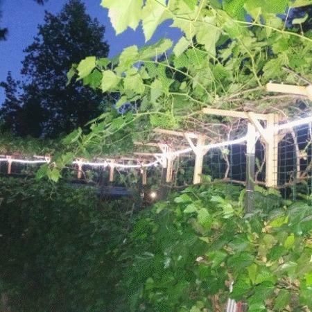 450 Gladycon Road, Unit 32 Colfax, CA 95713 - Photo 26 of 29 a view of a garden with a fountain