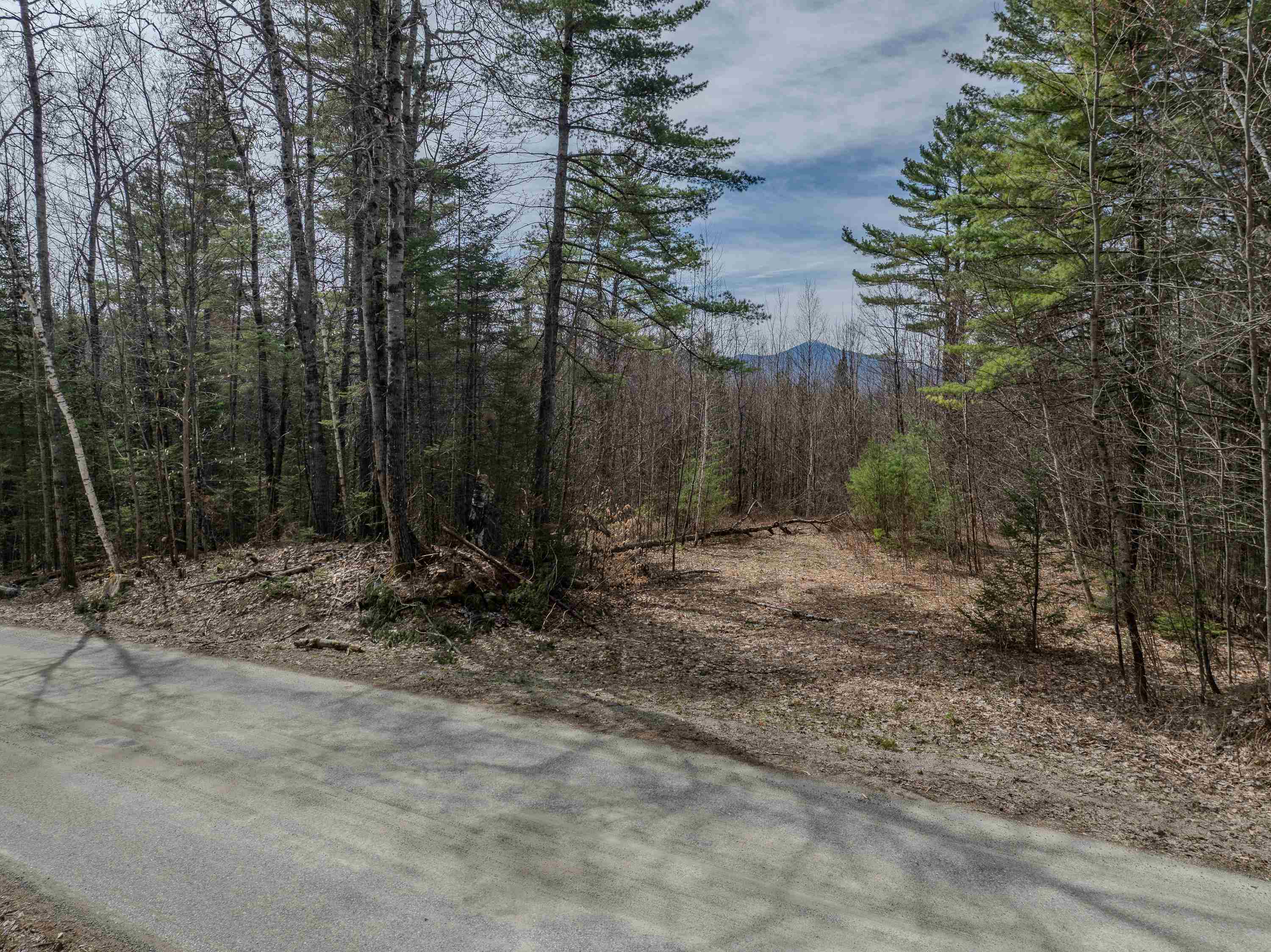0 Gould Road Whitefield, NH 03598 - Photo 2 of 29 Gallery Image 2