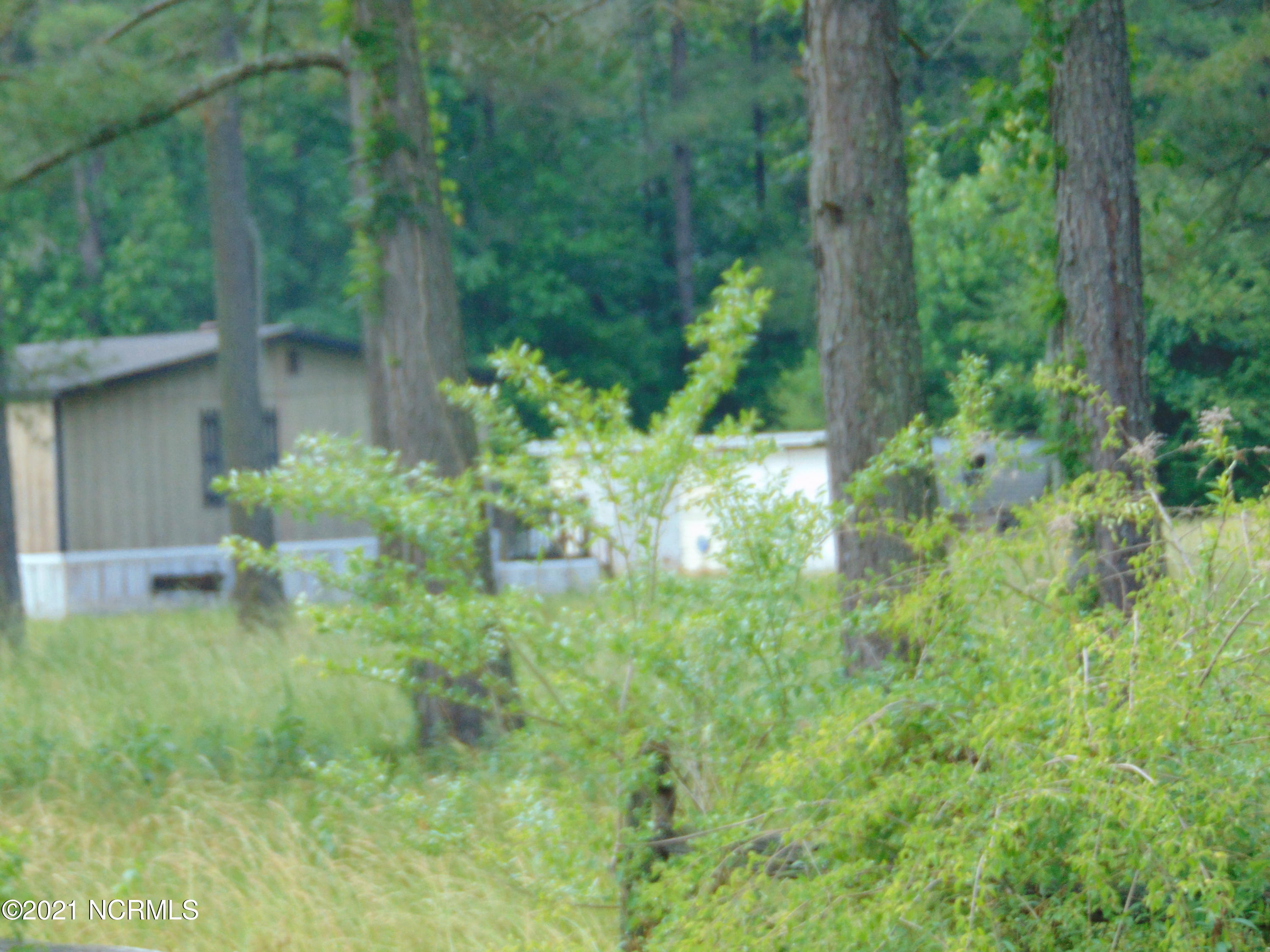 400 Labor Camp Road Edward, NC 27821 - Photo 4 of 6 2021_0320Kinney0167