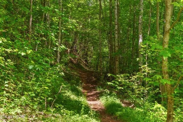 $1,175,000 | 2792 Happy Hollow Road, Sevierville, TN 37862