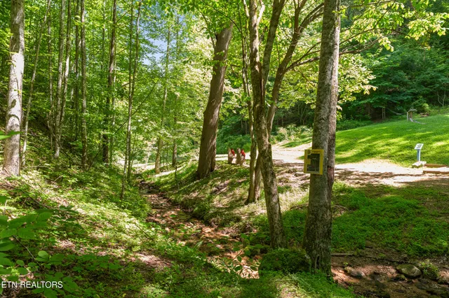 $1,175,000 | 2792 Happy Hollow Road, Sevierville, TN 37862