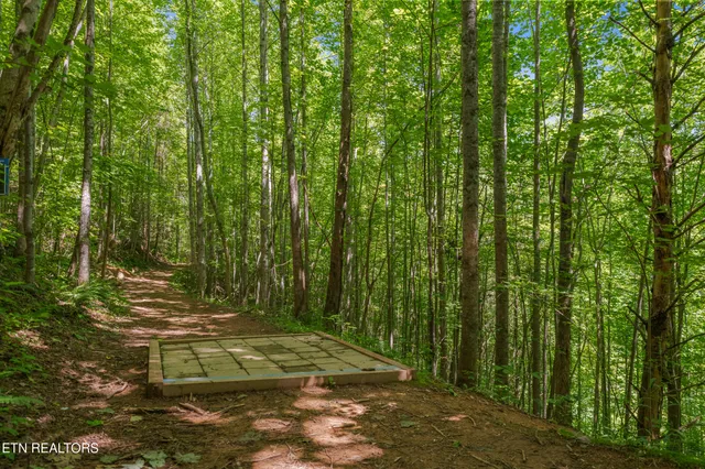 $1,175,000 | 2792 Happy Hollow Road, Sevierville, TN 37862