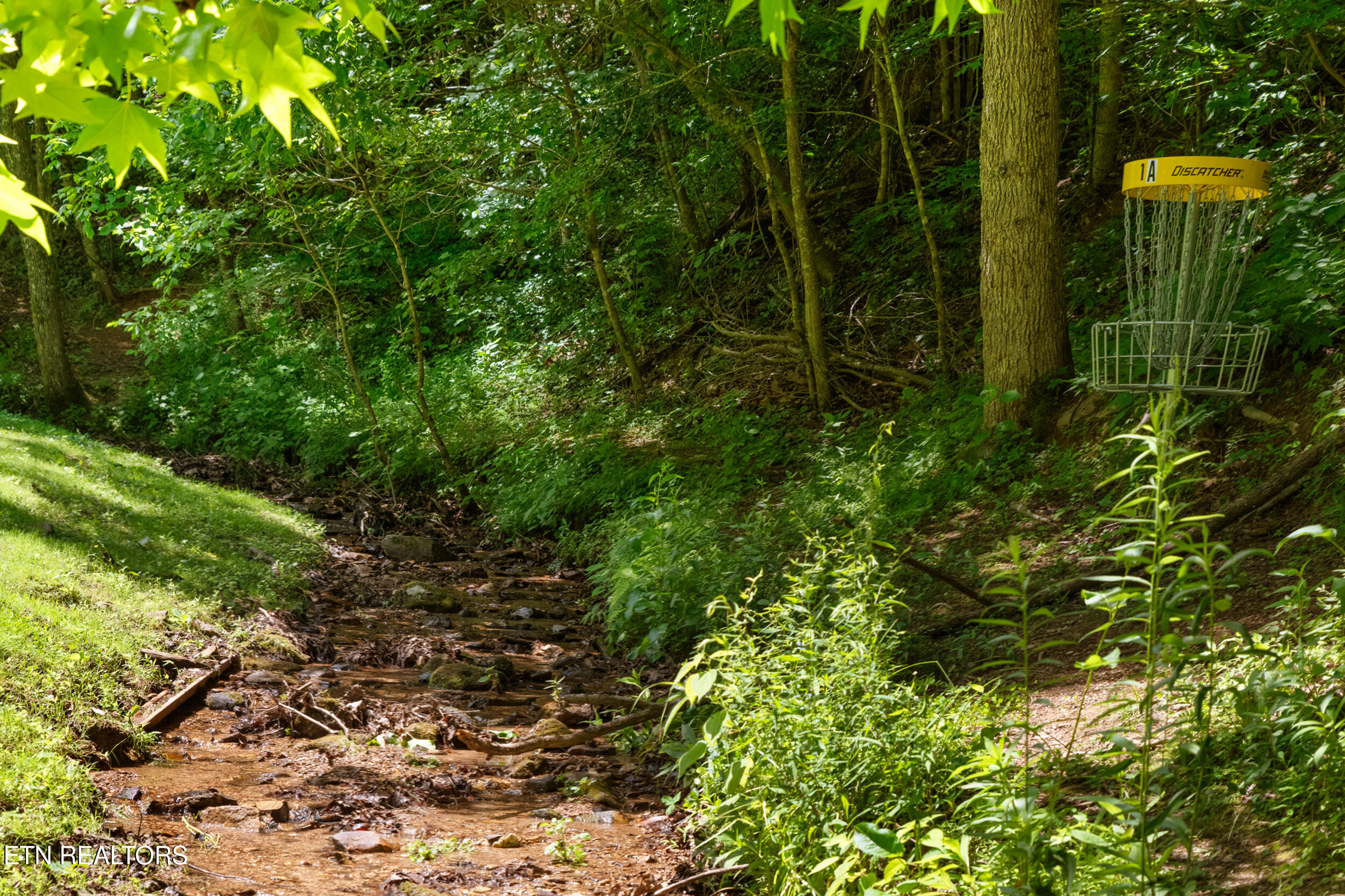 2792 Happy Hollow Road Sevierville, TN 37862 - Photo 6 of 46 2792 Happy Hollow-40 (2)