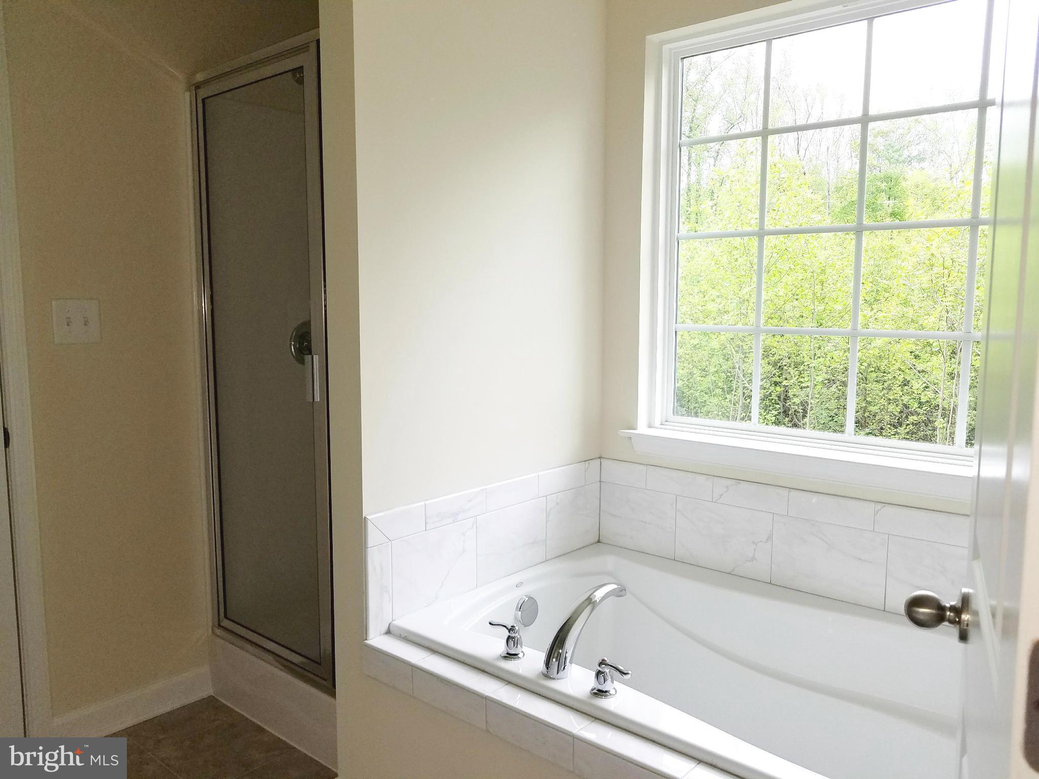 10312 Bluebird Court Spotsylvania, VA 22553 - Photo 15 of 20 a white bath tub sitting next to a window