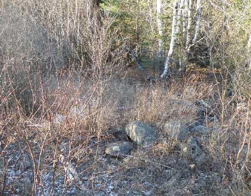 Lot 1 Swett Road Carmel, ME 04419 - Photo 4 of 6 Land.