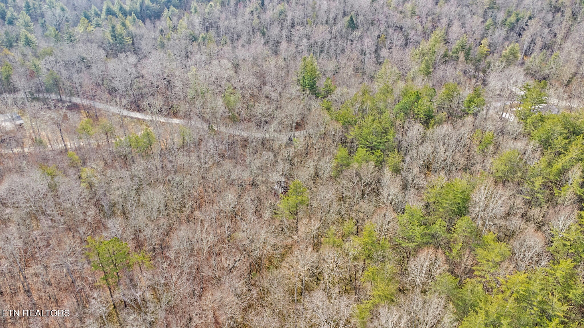 117 Hensley Road Deer Lodge, TN 37726 - Photo 15 of 23 Gallery Image 15