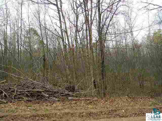 0 Deerfield Road Trego, WI 54888 - Photo 4 of 4 Gallery Image 4