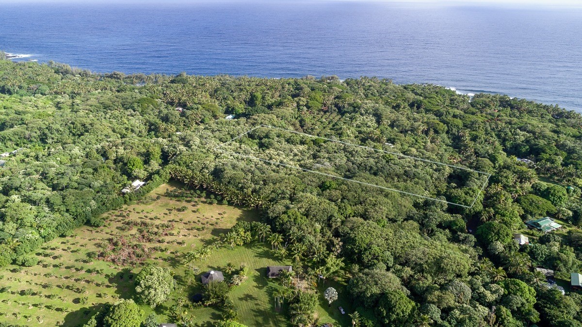 13-649 Kamaili Road Pahoa, HI 96778 - Photo 3 of 6 Gallery Image 3