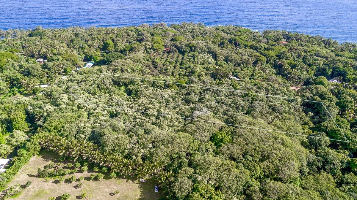 13-649 Kamaili Road Pahoa, HI 96778 - Photo 5 of 6 Gallery Image 5
