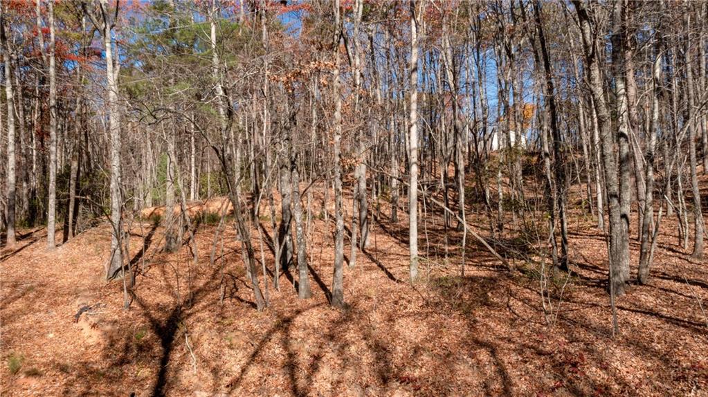 Lot124 Mountain Vw Road Dawsonville, GA 30534 - Photo 16 of 16 a view of small yard