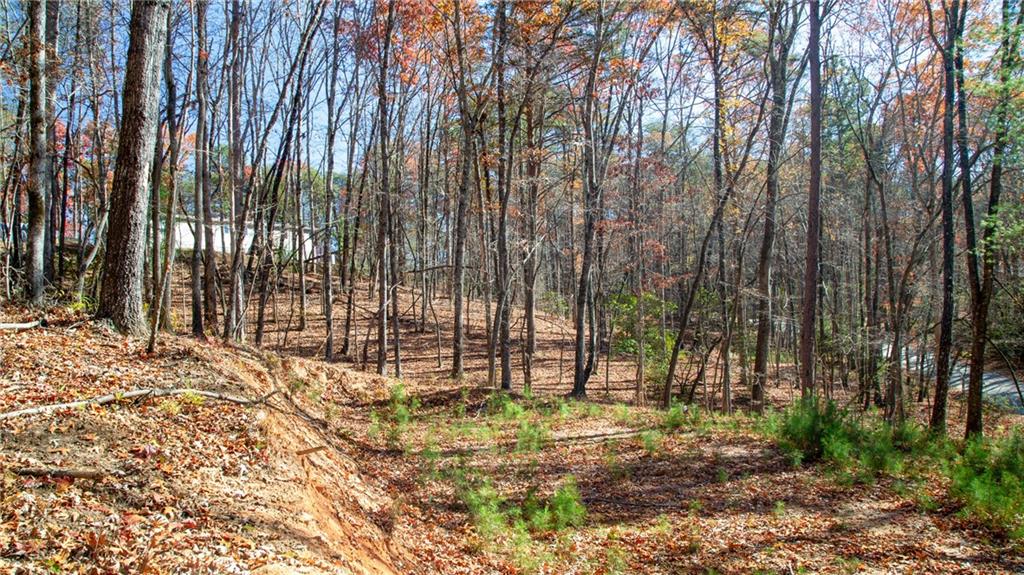 Lot124 Mountain Vw Road Dawsonville, GA 30534 - Photo 5 of 16 a view of backyard with trees