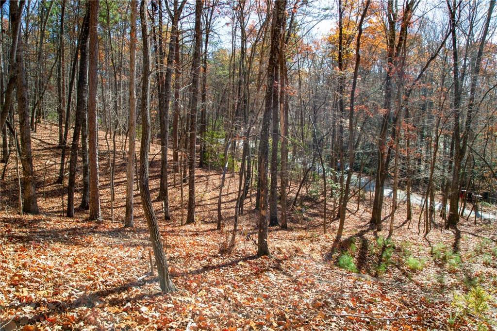 Lot124 Mountain Vw Road Dawsonville, GA 30534 - Photo 6 of 16 a view of outdoor space with lots of trees