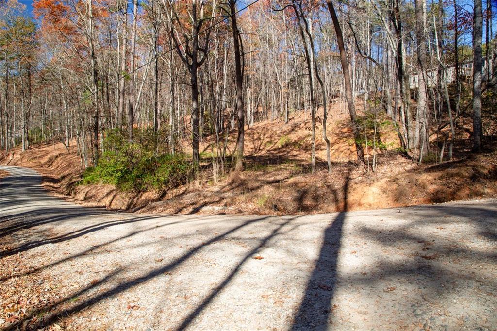 Lot124 Mountain Vw Road Dawsonville, GA 30534 - Photo 8 of 16 a view of a yard