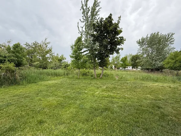 a big yard with lots of green space and palm trees
