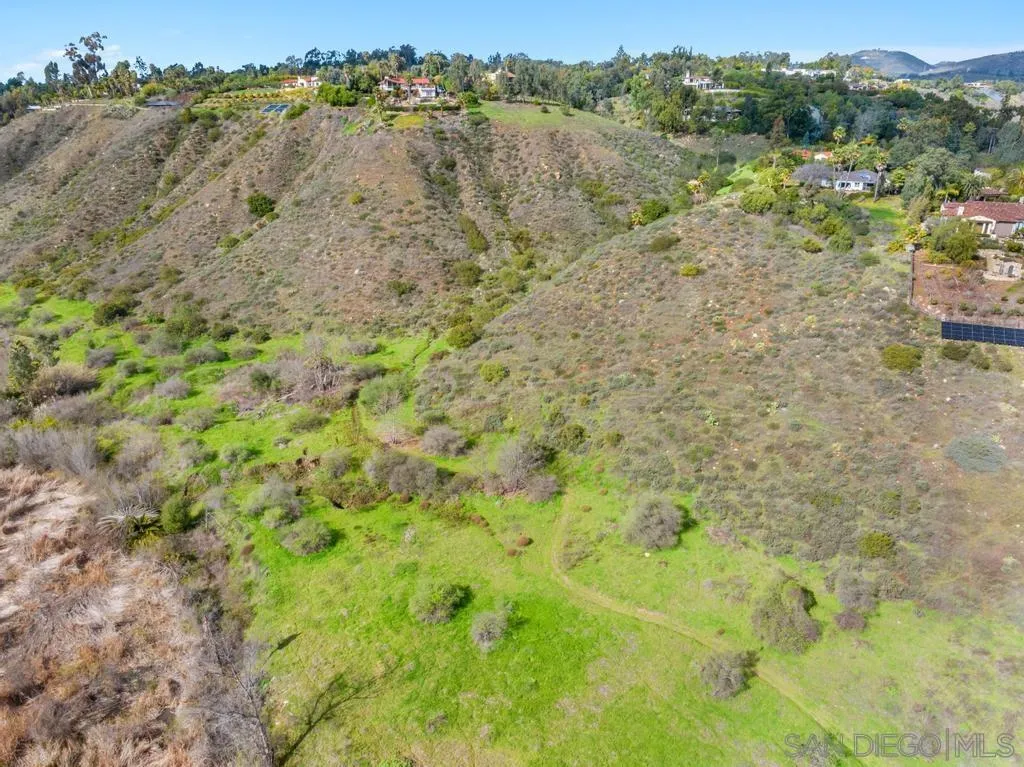 16574 Zumaque Rancho Santa Fe, CA 92067 - Photo 32 of 51 a view of a forest with trees in the background