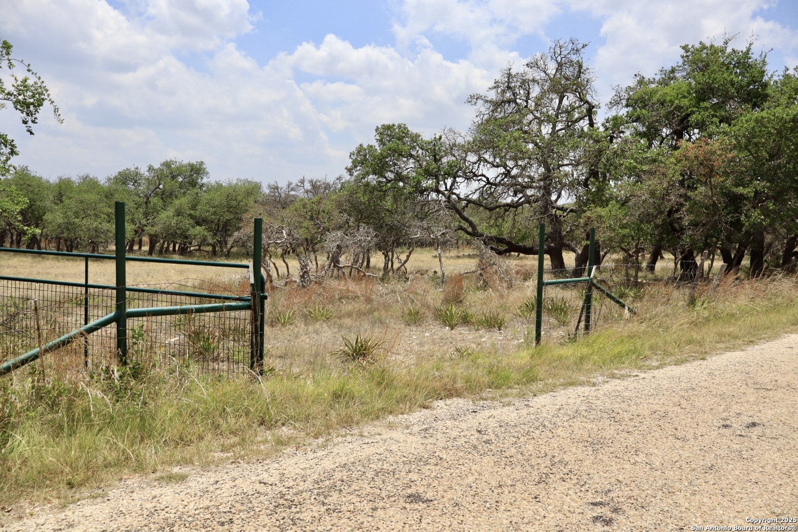 25 Dallas Josie Road Harper, TX 78631 - Photo 1 of 16 Gallery Image 1