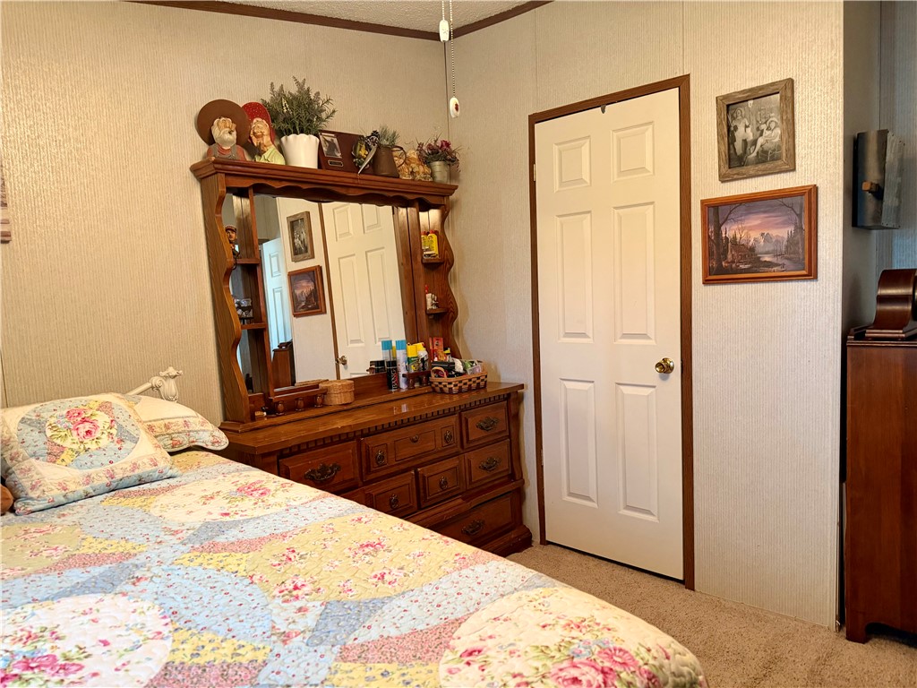 901 River Road Pottsville, AR 72858 - Photo 21 of 31 Gallery Image 21
